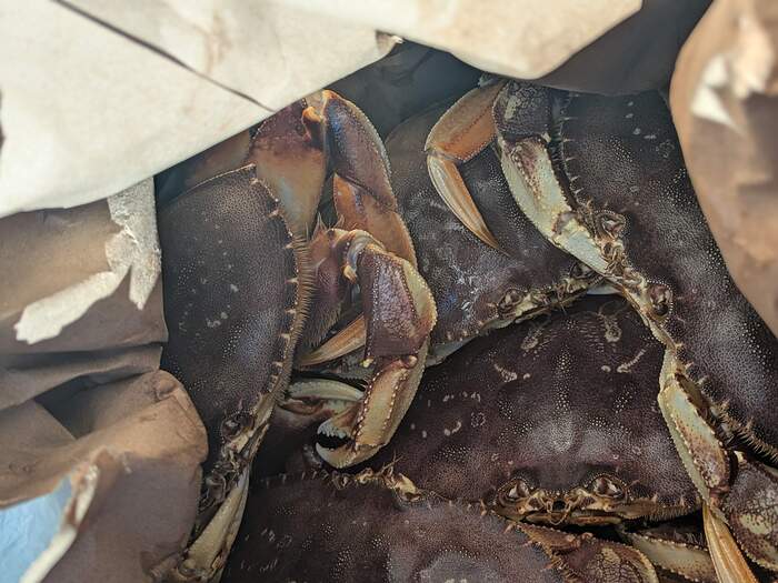 PXL_20260113_202911806.PORTRAIT