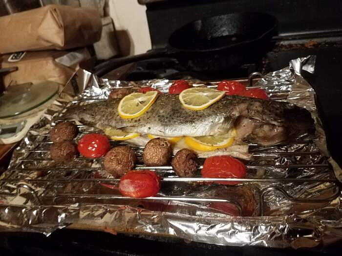 TroutOven20251223_195321