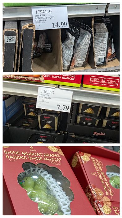 20260109_210501-COLLAGE