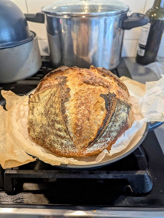 PXL_20260127_182804314.MP~2