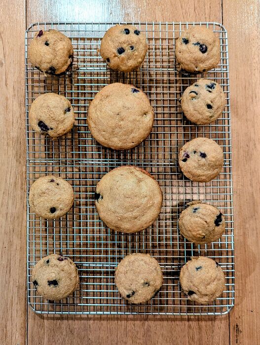 PXL_20260219_234429674.MP~2