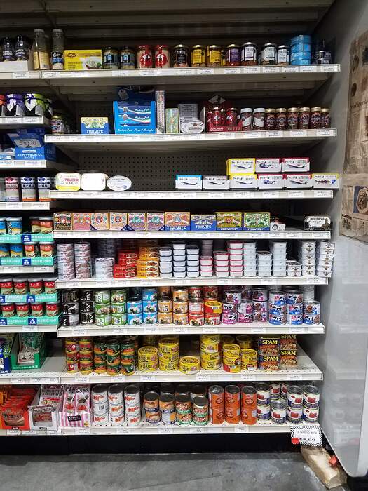 TokyoFishEastWall20260203_133121