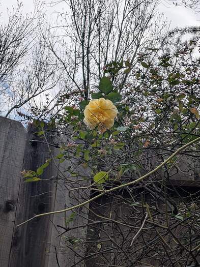 PXL_20260127_222654988