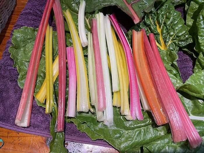 chard2