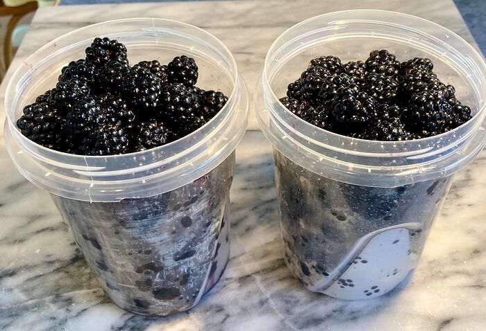 Himalayan Blackberries