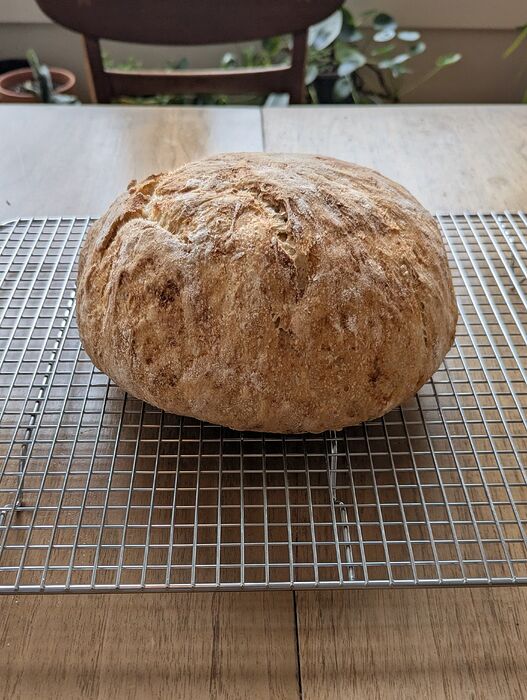 PXL_20251201_191058315.MP~2