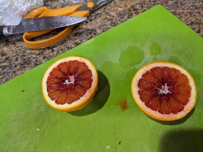 PXL_20220607_223750220