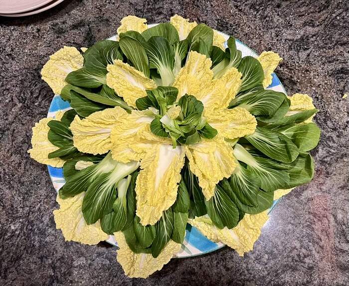 5783B496-7E32-445B-B9A2-3FE423911205_1_105_c