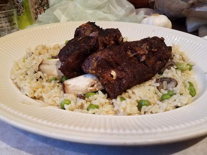 BackRibs20260407_192710