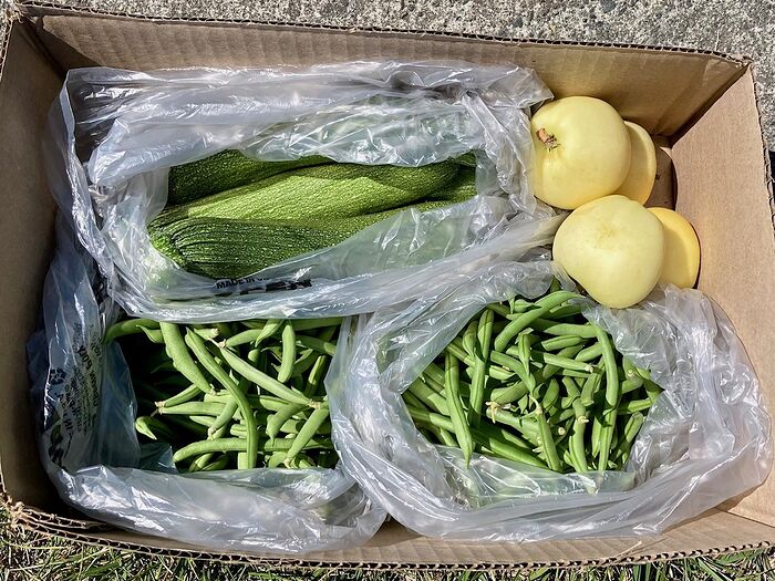 Free Box Produce For The People