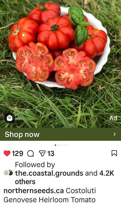 Screenshot_20260128-193611