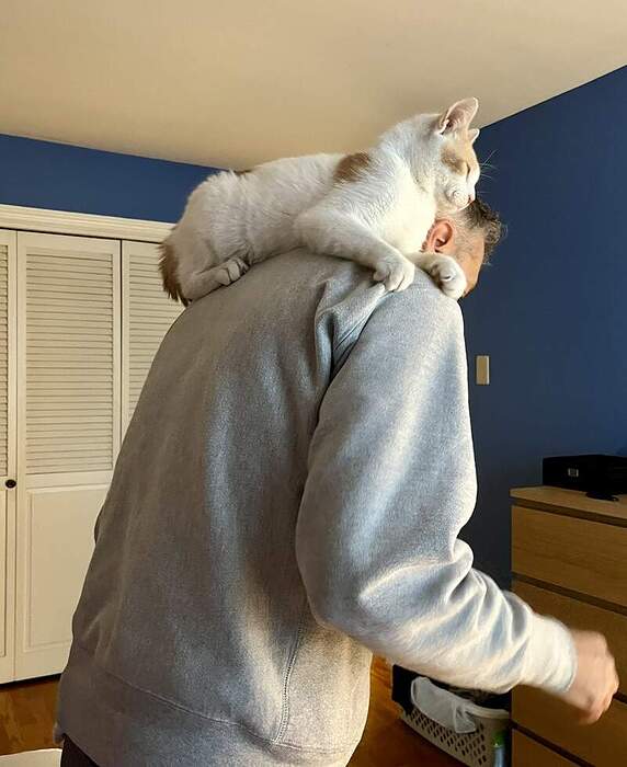 DA28D2DD-44E2-46DC-A47C-065BF3A2F8E8_1_105_c