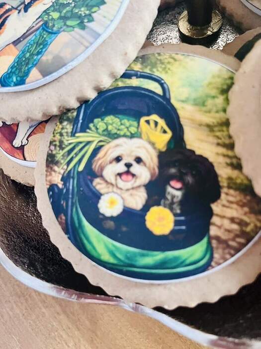 8DEDC881-839D-468B-AB6F-6E784CBD4DF1_1_105_c