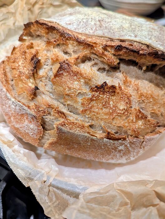 PXL_20260309_012449058.MP~2