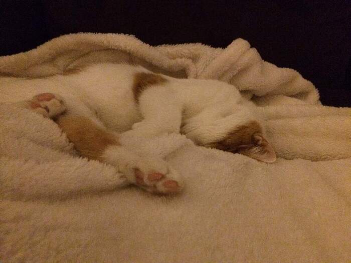 38C793E0-1754-43EB-AC15-DACCE4465BF7_1_105_c