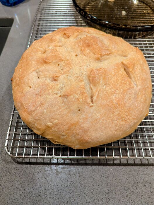 PXL_20251208_230653745.MP~2