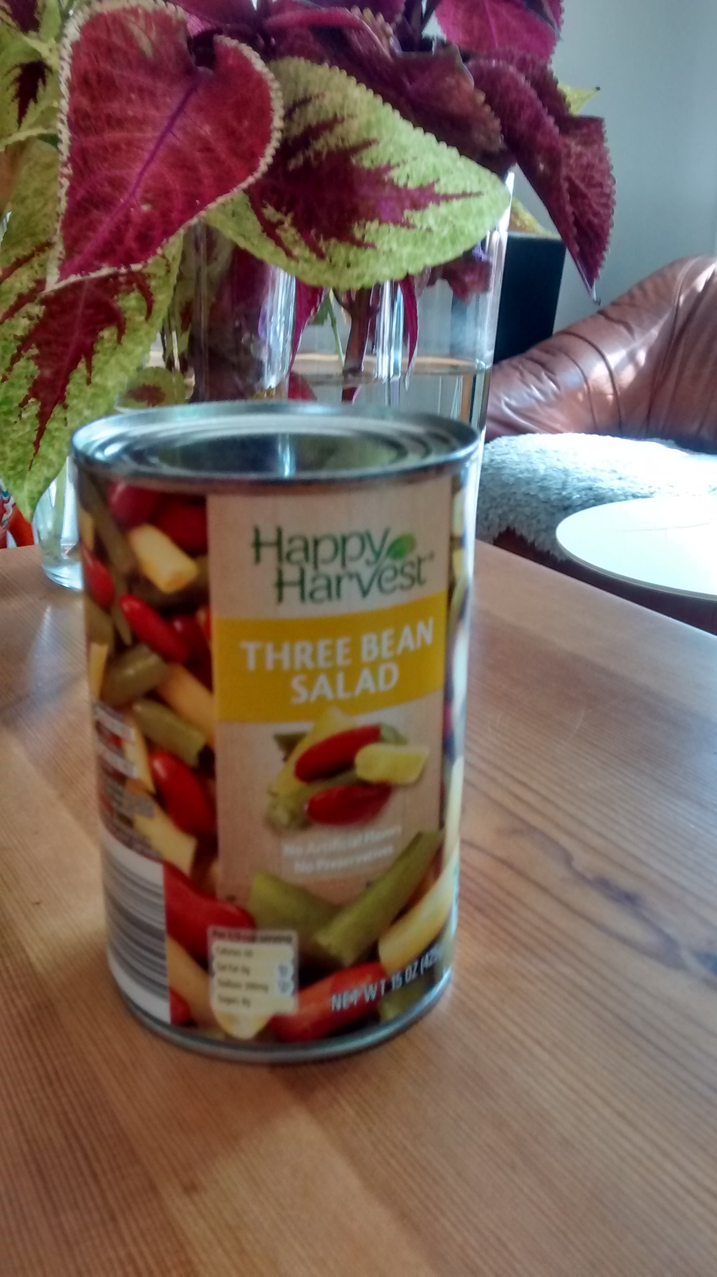 Read's brand canned German potato salad Culture, Chains