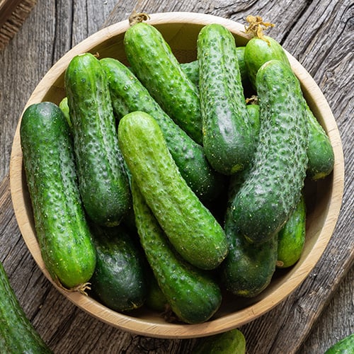 types-of-cucumbers-8