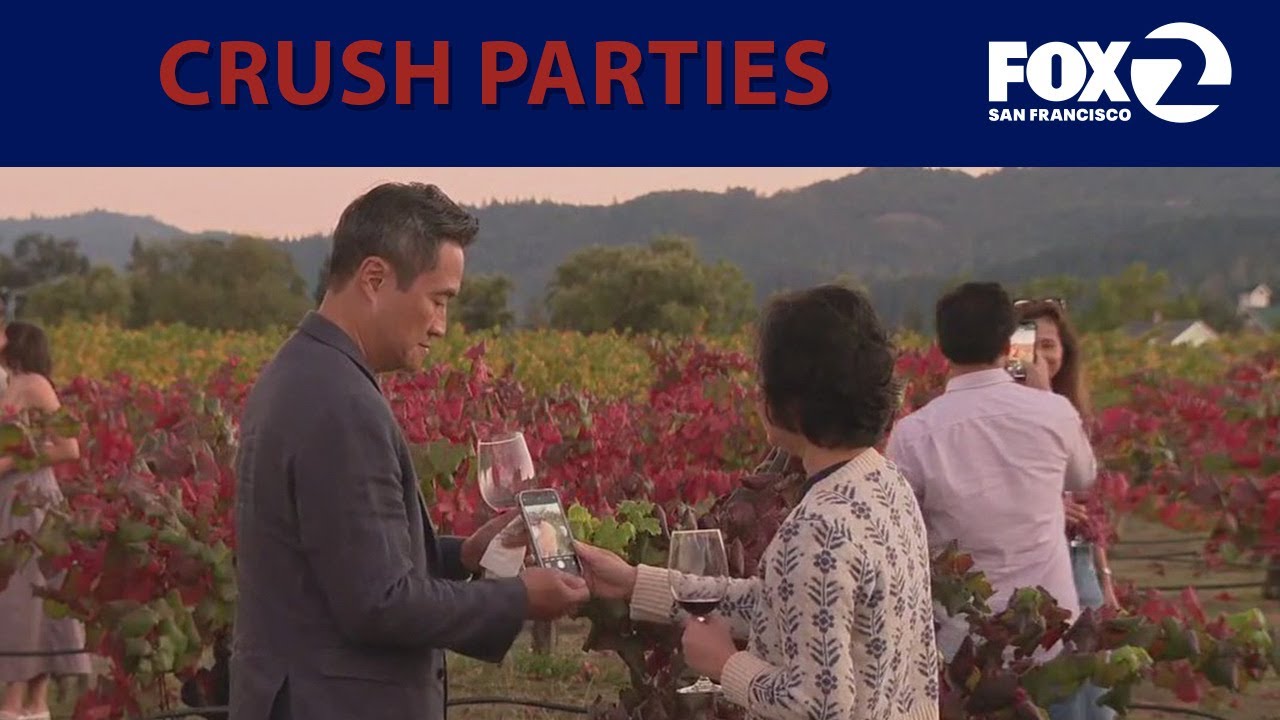 Wine industry tries to energize by throwing crush parties | KTVU
