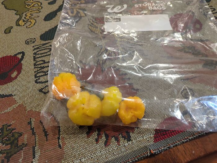 5cfd29f1d3453078c570ebf32a8f9927927e834d_2_700x524